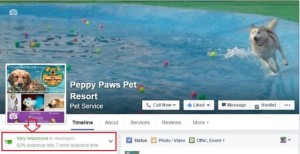 Very responsive Facebook badge 3