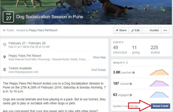 Dog Socialization Event Facebook