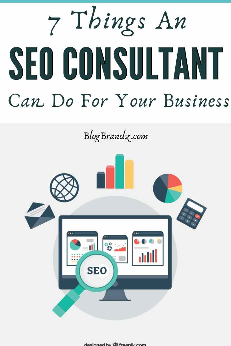 SEO Consultant