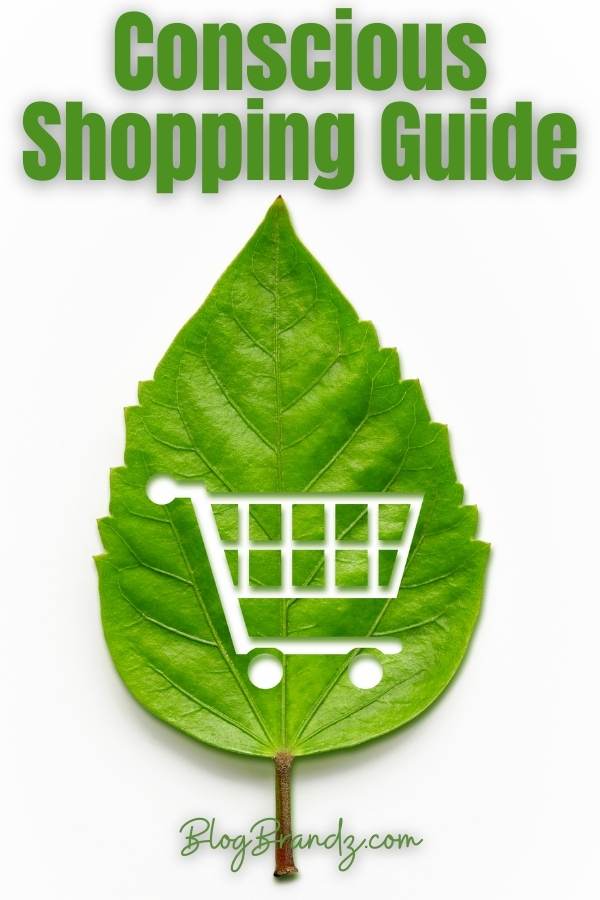 Conscious Shopping Guide