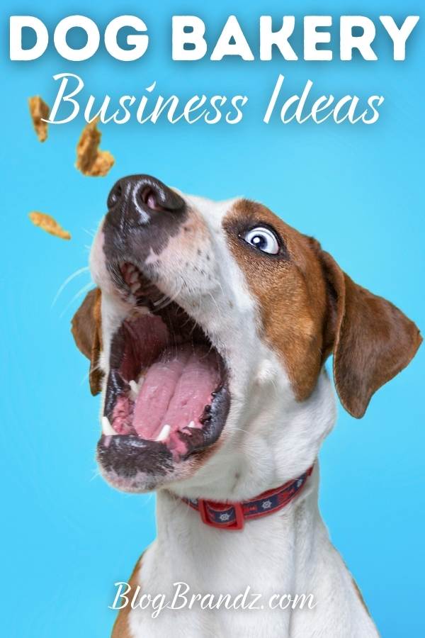 Dog Bakery Business Ideas