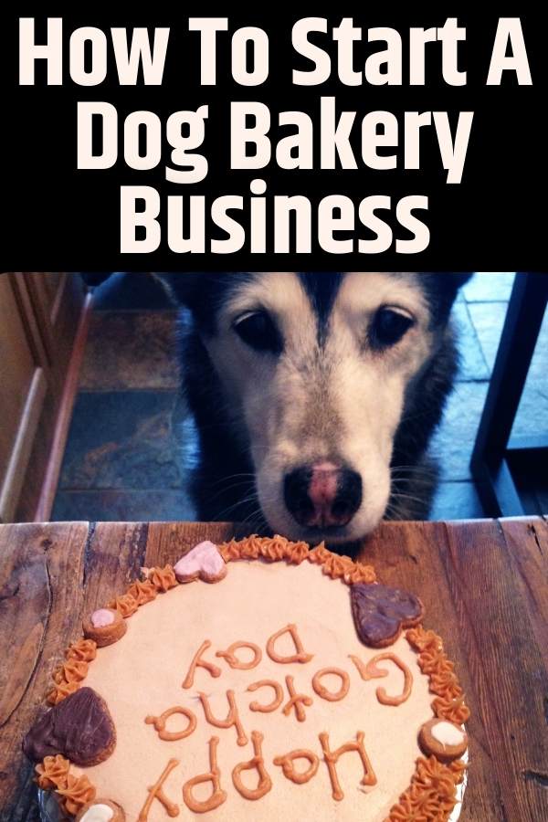 How To Start A Dog Bakery Business