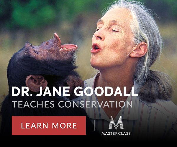 jane goodall masterclass conservation