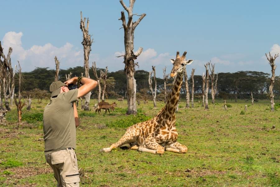 wildlife photographer of the year