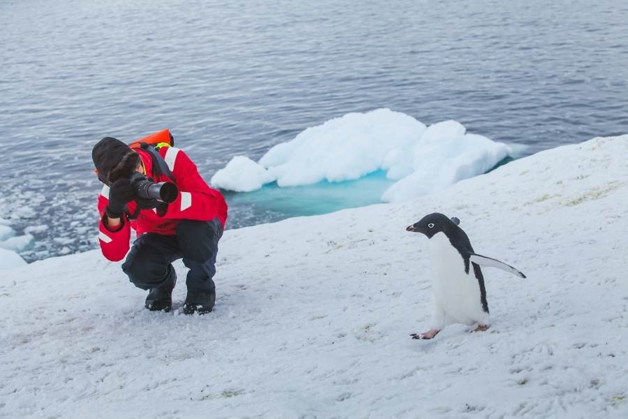 How To Learn Wildlife Photography and Become a Wildlife Photographer 2