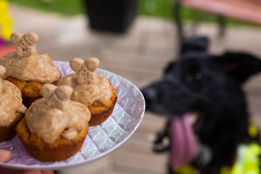 pupcakes