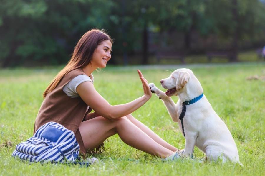 taking care of yourself and your family