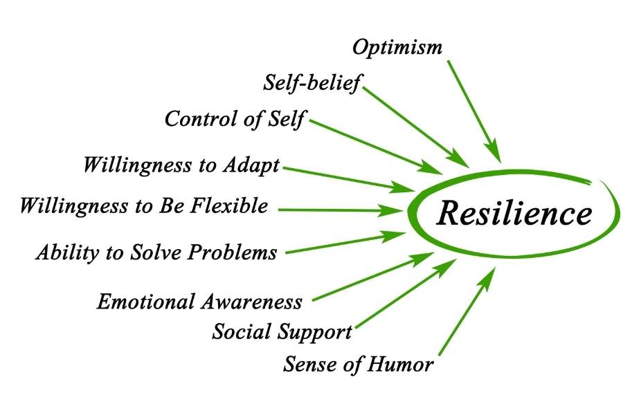 resilience is the