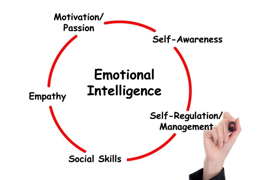 self regulation emotional intelligence
