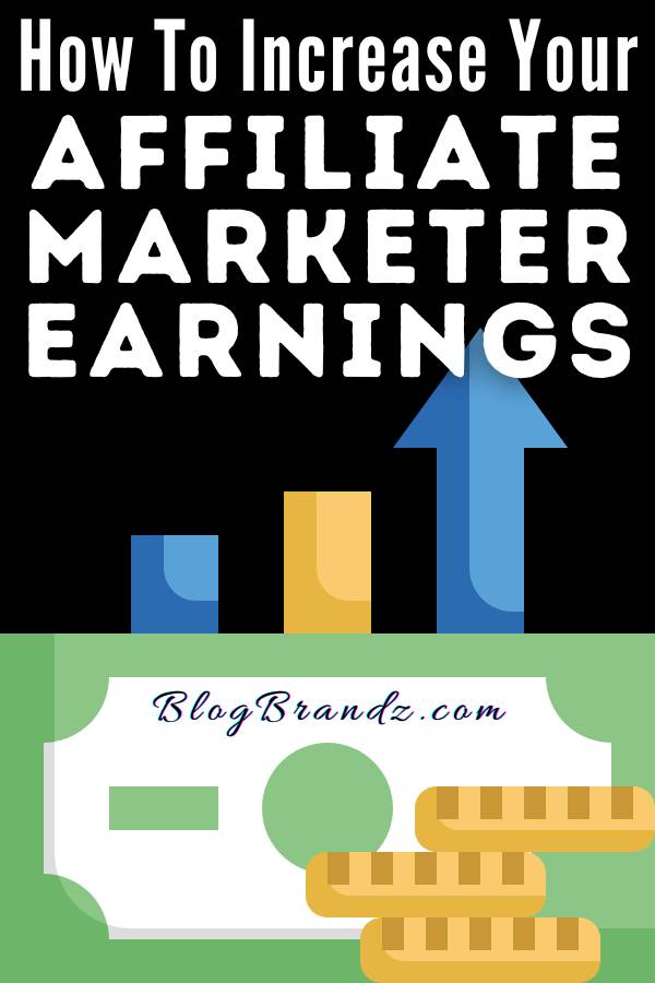 Affiliate Marketer Earnings