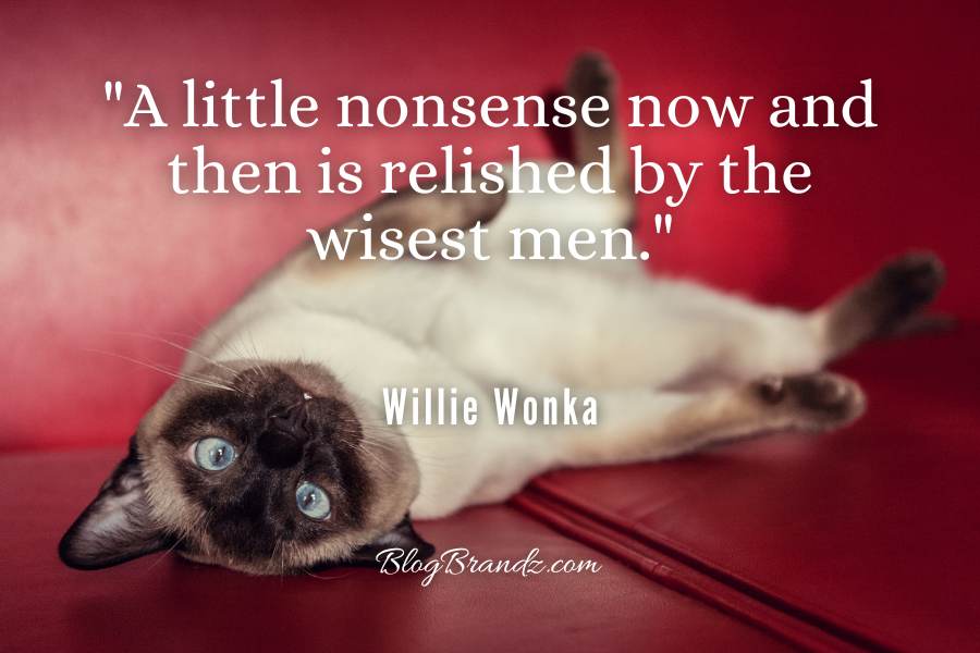 willie wonka quote