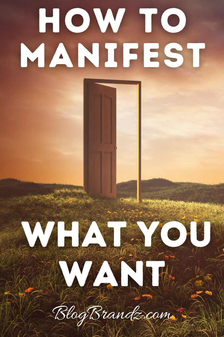 How To Manifest What You Want
