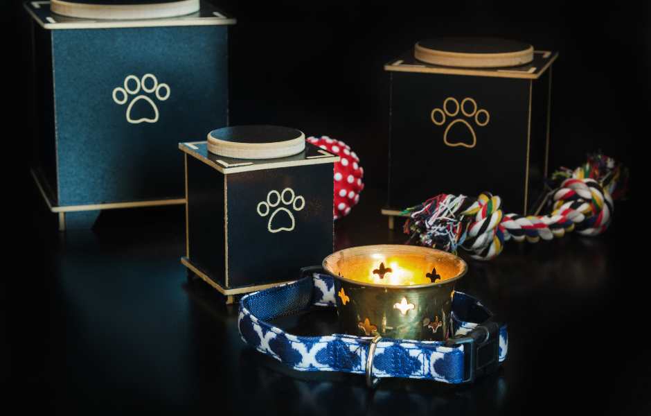 pet cremation business