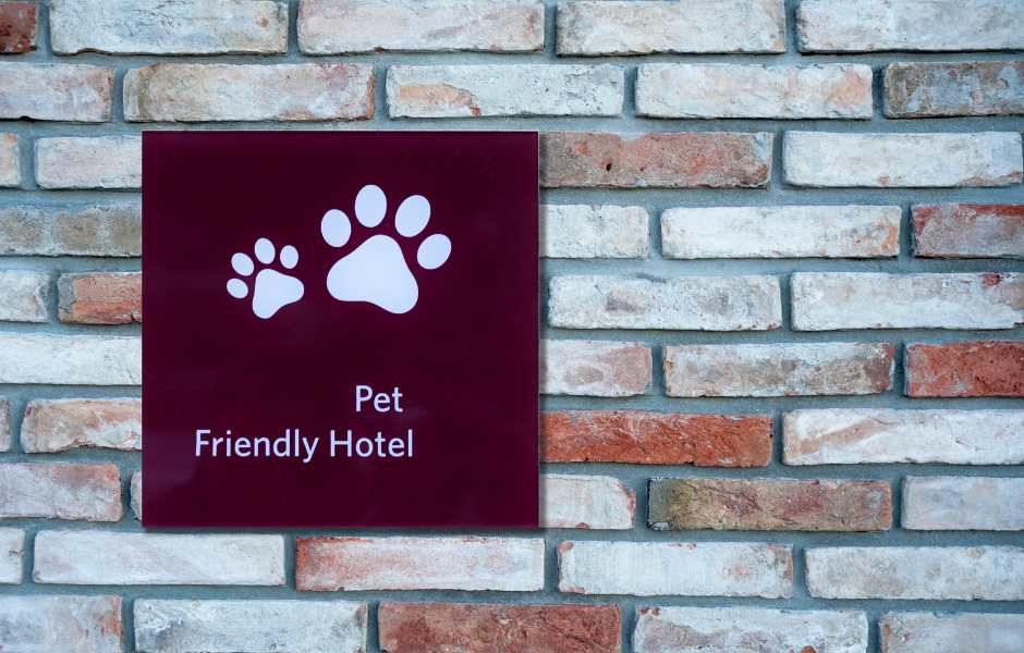 pet friendly travel