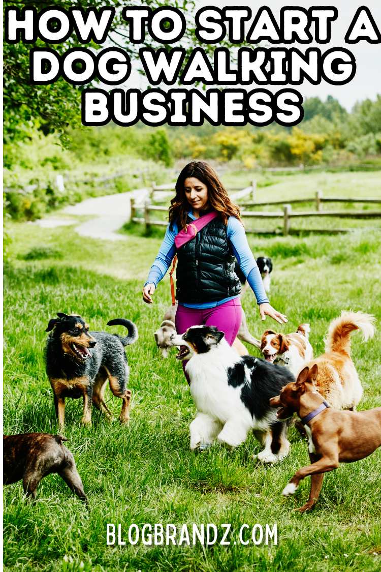 Starting A Dog Walking Business