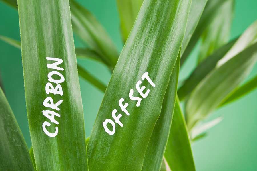 Eco-Friendly Crafting: Sustainable Practices in Print on Demand 5 carbon offsetting