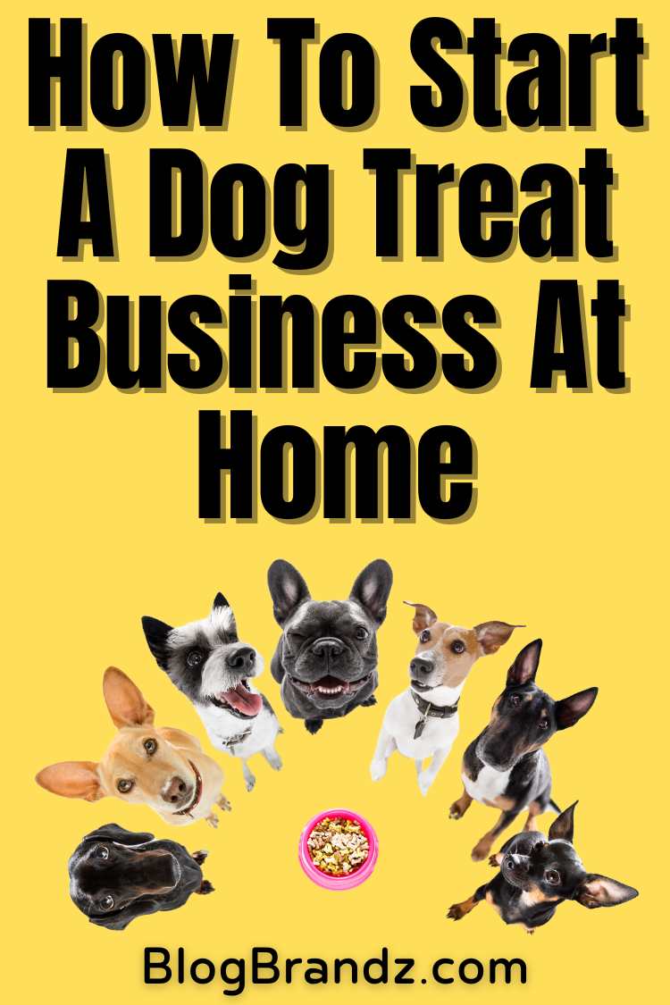 How To Start A Dog Treat Business At Home