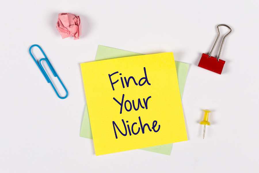 niche examples