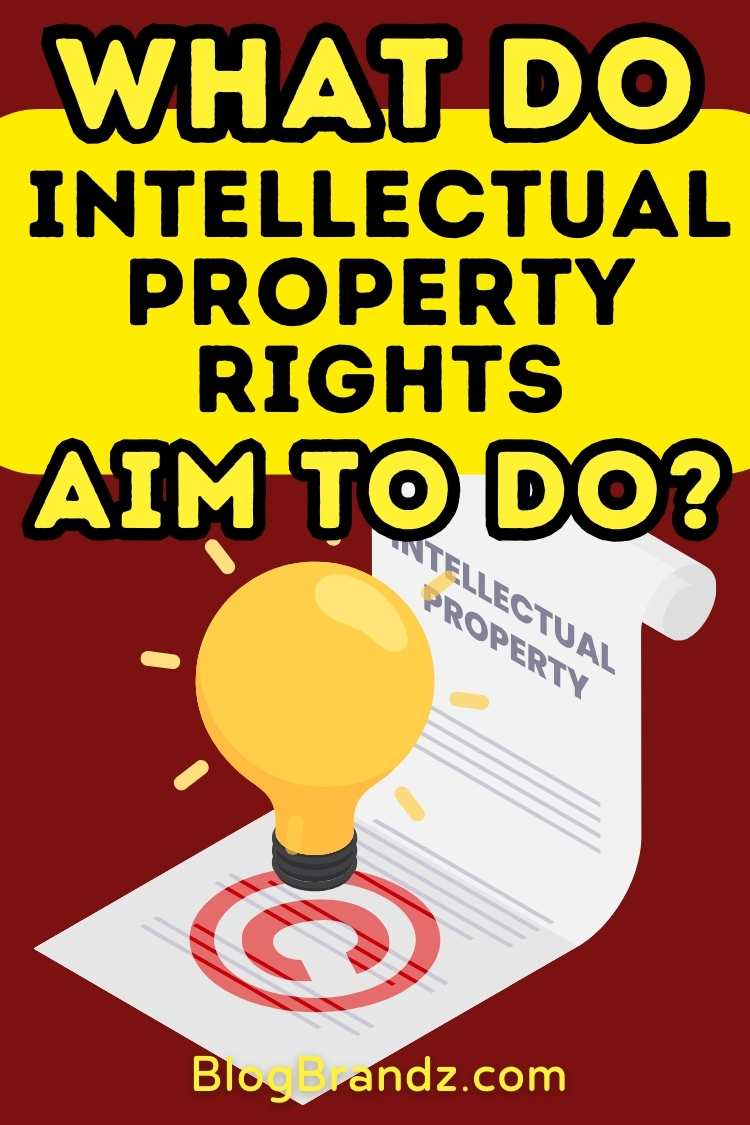 What Do Intellectual Property Rights Aim To Do